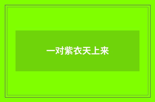 一对紫衣天上来