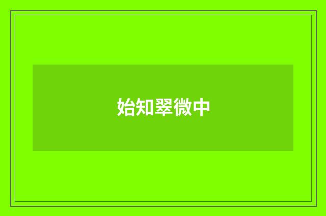 始知翠微中
