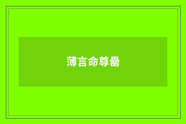 薄言命尊罍