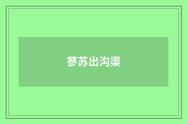 蓼苏出沟渠