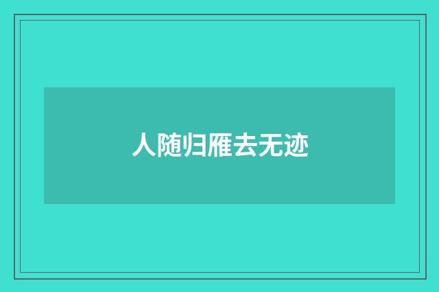 人随归雁去无迹