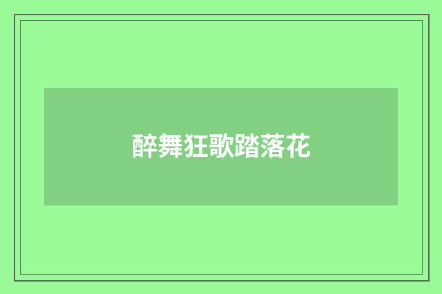 醉舞狂歌踏落花