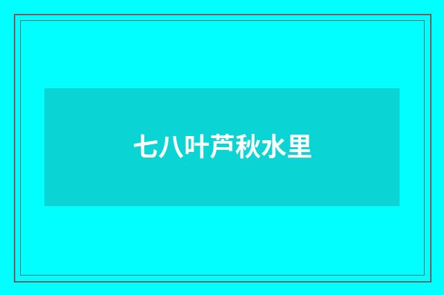 七八叶芦秋水里