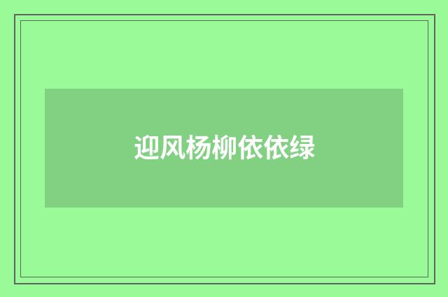 迎风杨柳依依绿