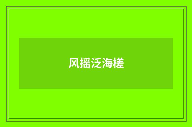 风摇泛海槎