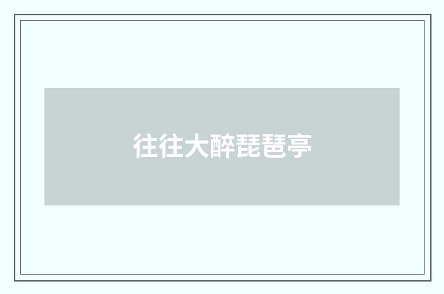 往往大醉琵琶亭