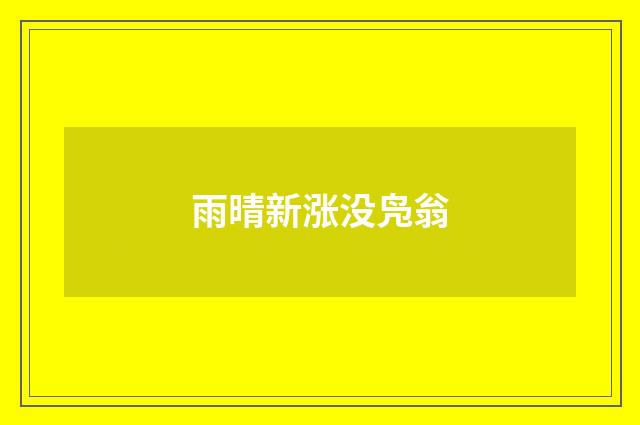 雨晴新涨没凫翁
