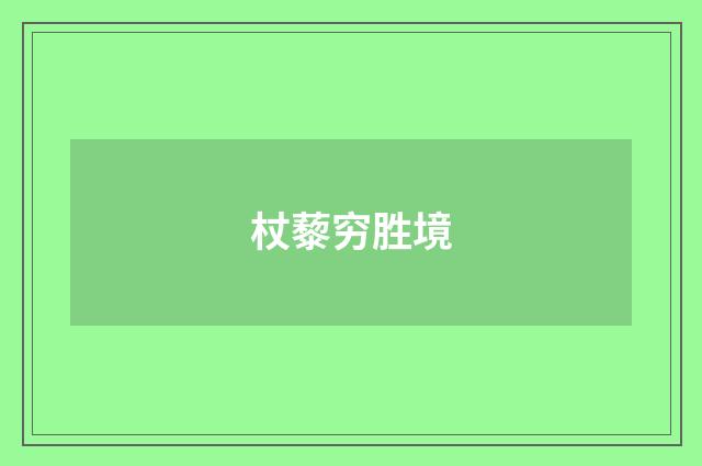杖藜穷胜境