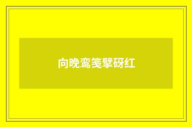 向晚鸾笺擘砑红