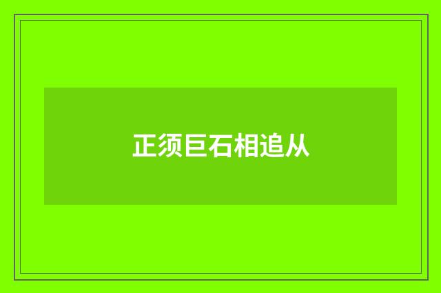 正须巨石相追从