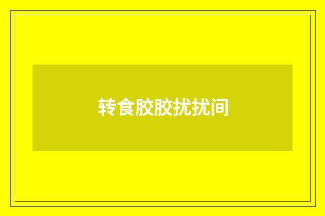 转食胶胶扰扰间