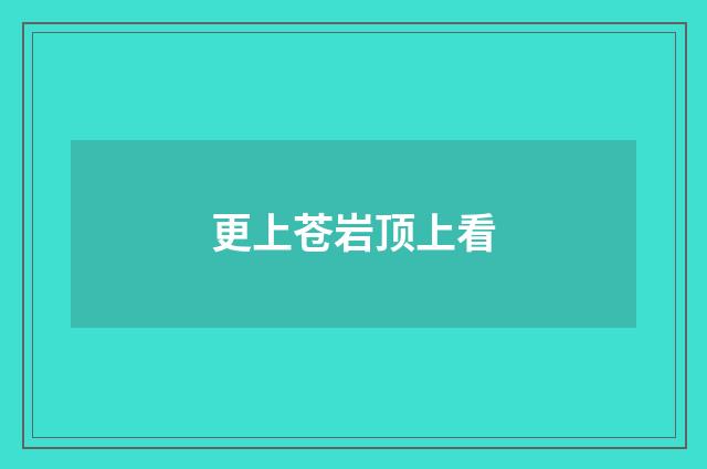 更上苍岩顶上看