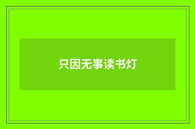 只因无事读书灯