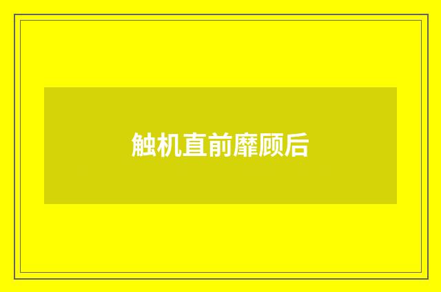 触机直前靡顾后