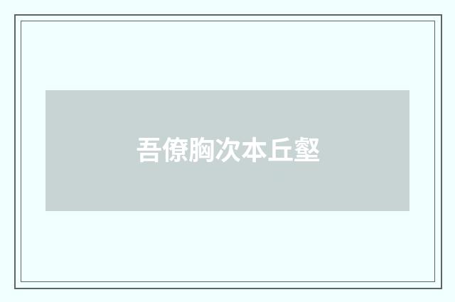 吾僚胸次本丘壑