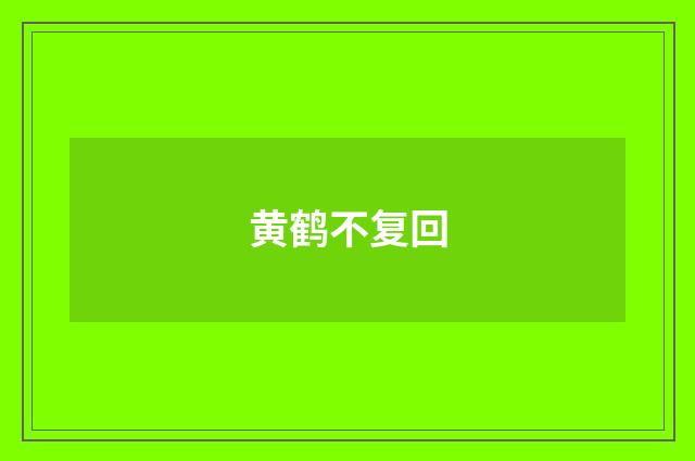 黄鹤不复回