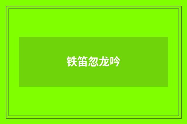铁笛忽龙吟