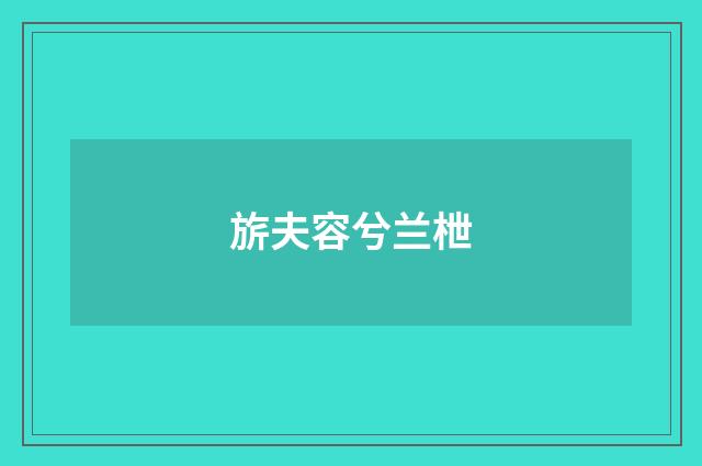 旂夫容兮兰枻