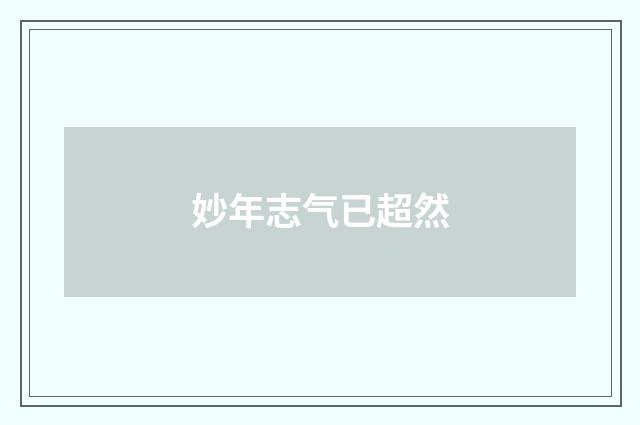 妙年志气已超然