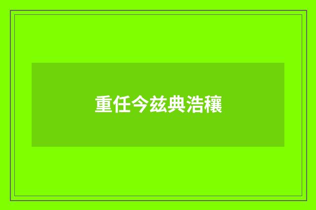 重任今兹典浩穰