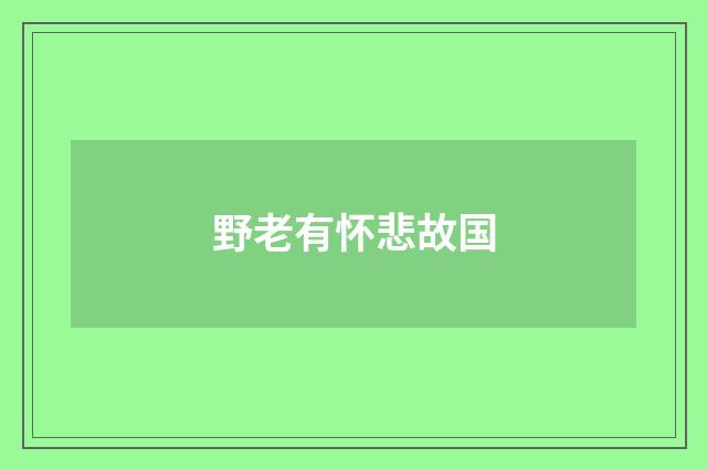 野老有怀悲故国