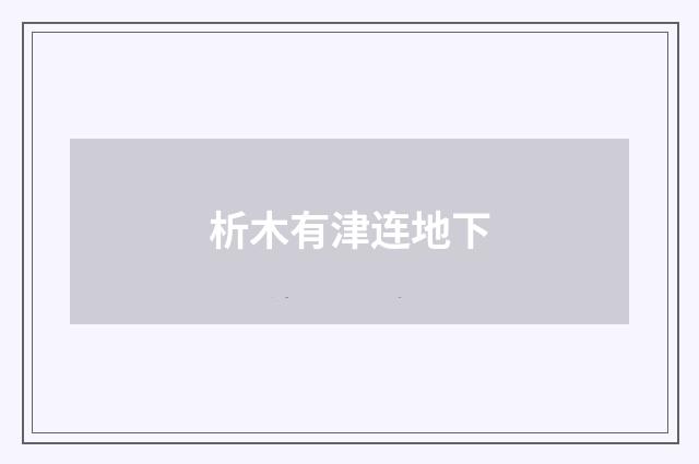 析木有津连地下