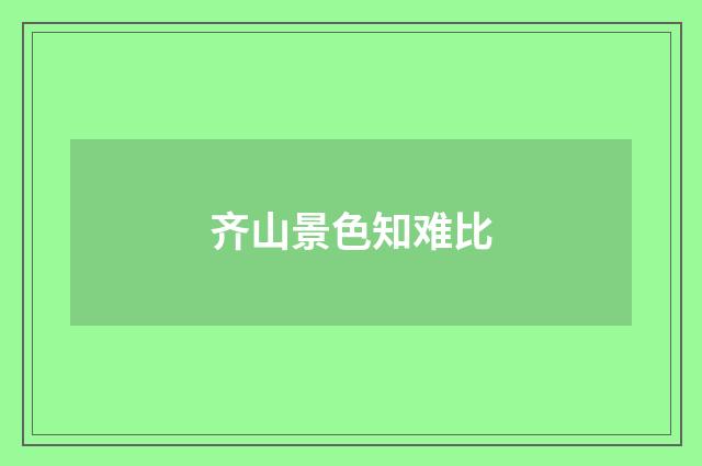 齐山景色知难比