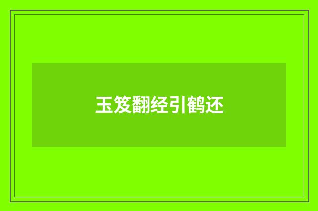 玉笈翻经引鹤还