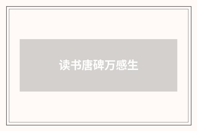 读书唐碑万感生