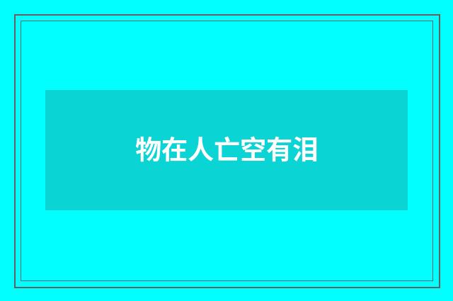 物在人亡空有泪