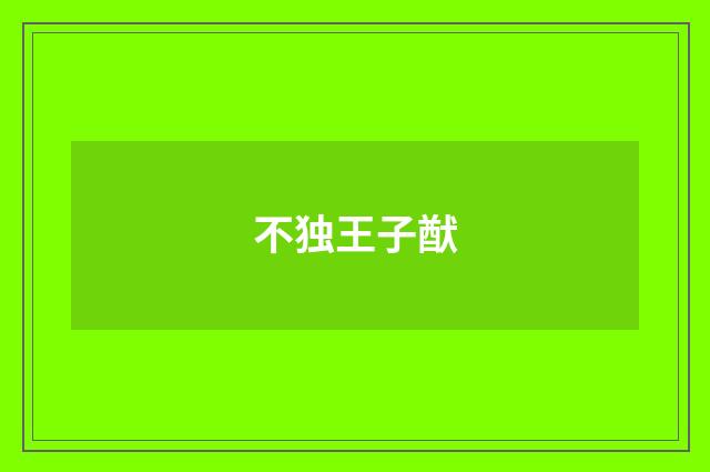不独王子猷
