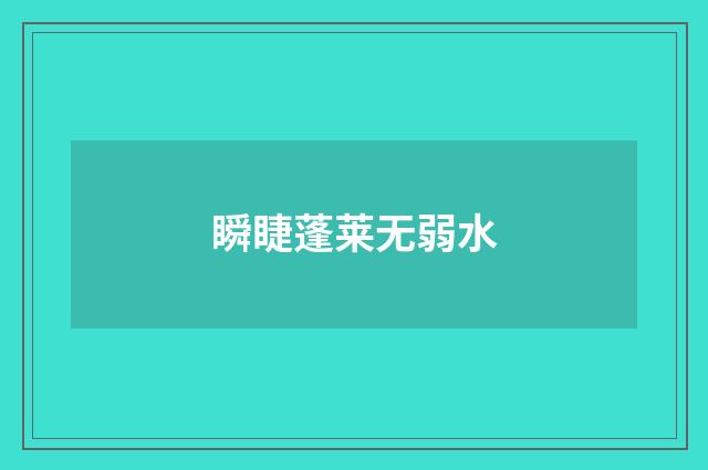 瞬睫蓬莱无弱水