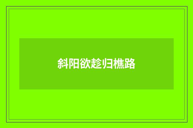 斜阳欲趁归樵路