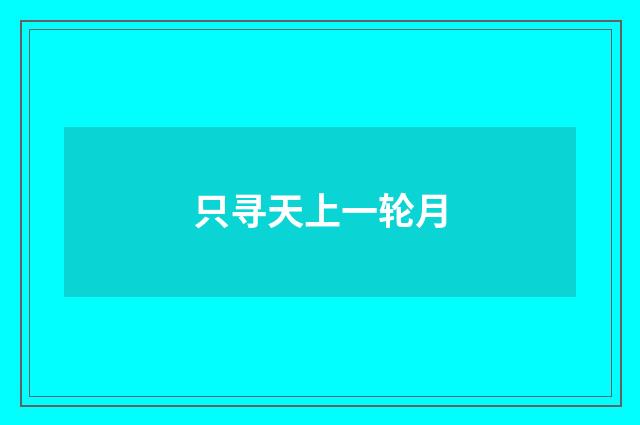 只寻天上一轮月