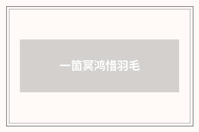 一箇冥鸿惜羽毛