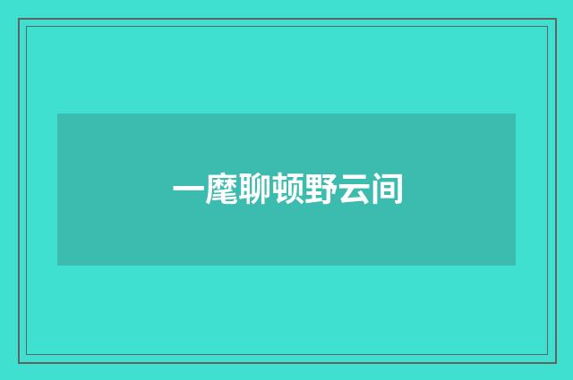 一麾聊顿野云间