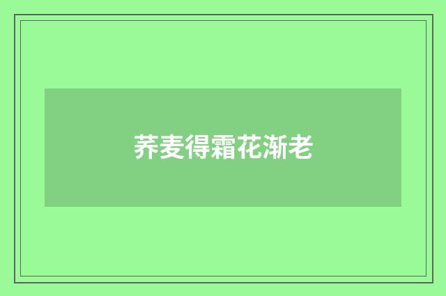 荞麦得霜花渐老
