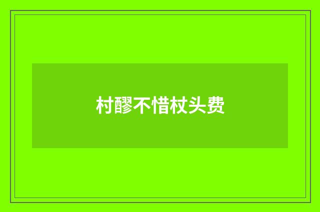 村醪不惜杖头费