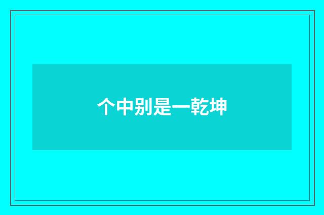 个中别是一乾坤