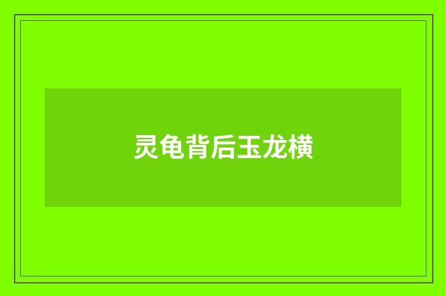 灵龟背后玉龙横