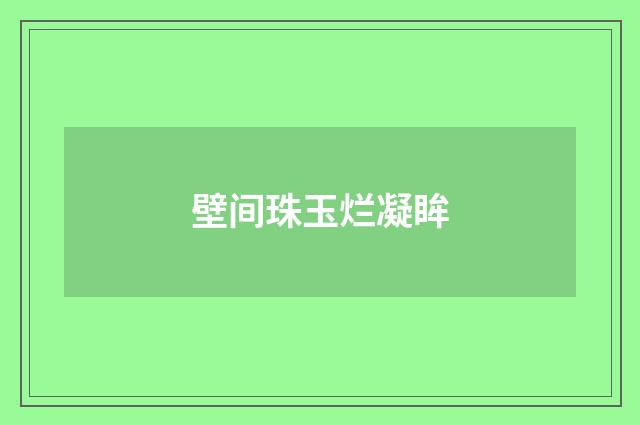 壁间珠玉烂凝眸