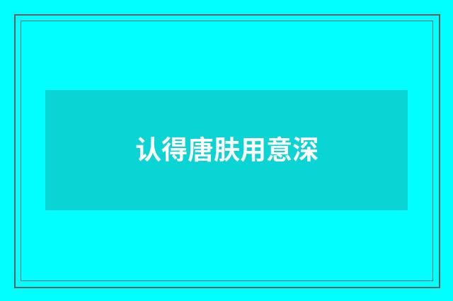 认得唐肤用意深