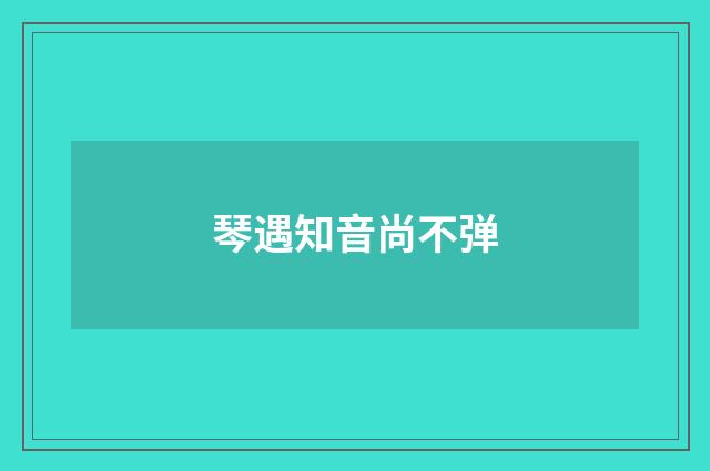 琴遇知音尚不弹