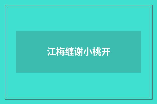 江梅缠谢小桃开