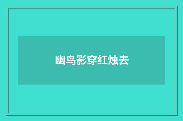 幽鸟影穿红烛去