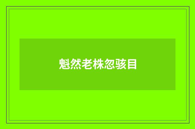 魁然老株忽骇目