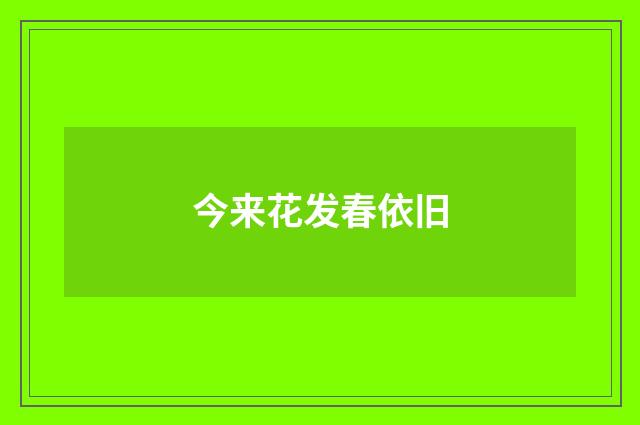 今来花发春依旧