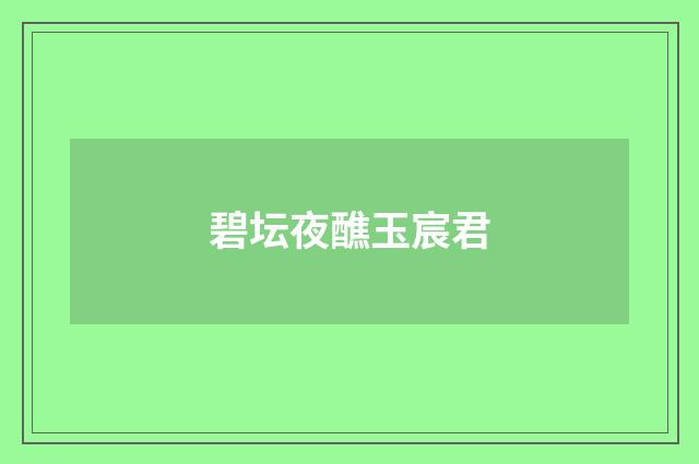 碧坛夜醮玉宸君