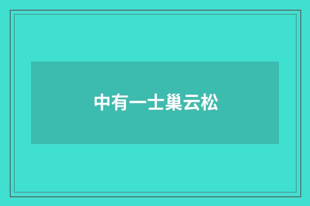 中有一士巢云松