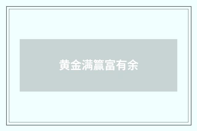 黄金满籯富有余